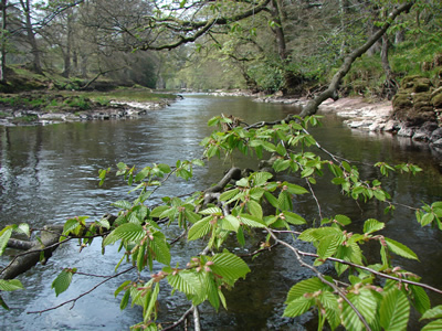 Pwll-y-Faedda